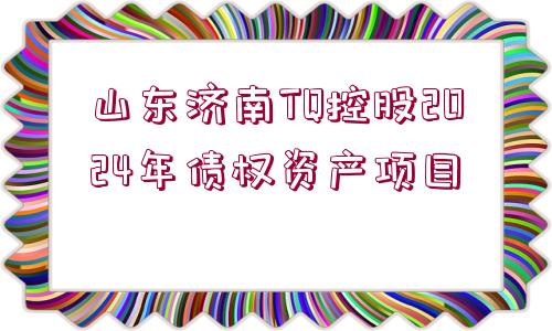 山東濟(jì)南TQ控股2024年債權(quán)資產(chǎn)項目