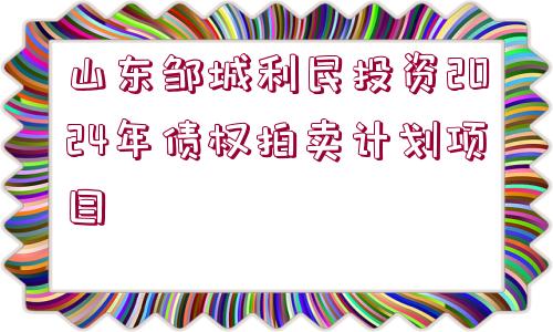 山東鄒城利民投資2024年債權(quán)拍賣計(jì)劃項(xiàng)目