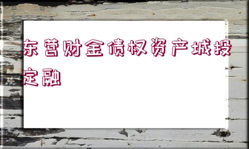 東營財金債權(quán)資產(chǎn)城投定融