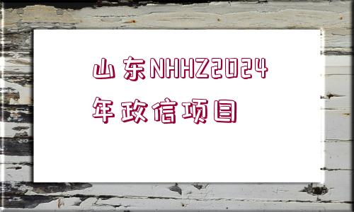 山東NHHZ2024年政信項(xiàng)目