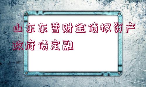 山東東營財金債權(quán)資產(chǎn)政府債定融