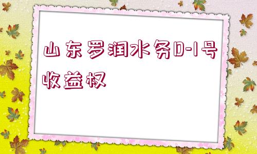 山東羅潤水務(wù)D-1號收益權(quán)