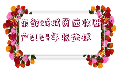 山東鄒城城資應收賬款資產2024年收益權