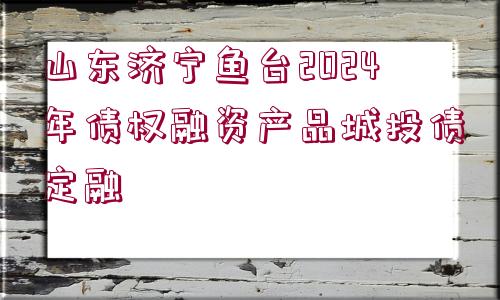 山東濟(jì)寧魚臺(tái)2024年債權(quán)融資產(chǎn)品城投債定融