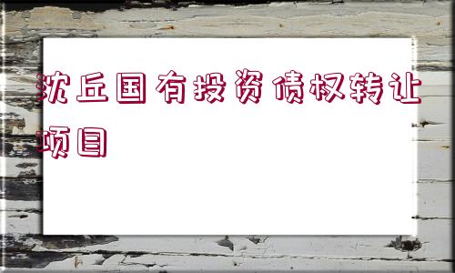 沈丘國有投資債權(quán)轉(zhuǎn)讓項(xiàng)目