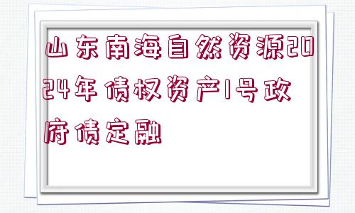 山東南海自然資源2024年債權(quán)資產(chǎn)1號政府債定融