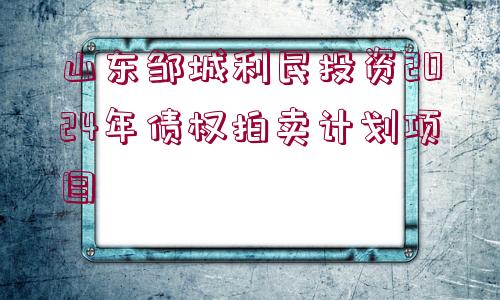 山東鄒城利民投資2024年債權(quán)拍賣(mài)計(jì)劃項(xiàng)目