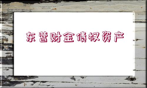 東營財(cái)金債權(quán)資產(chǎn)