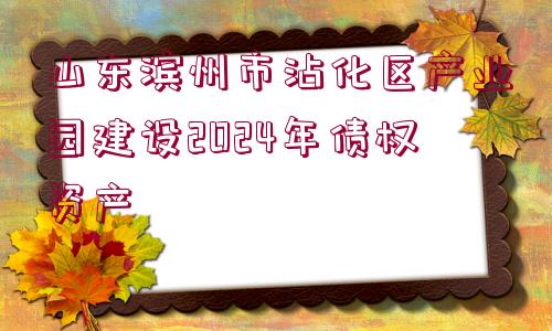 山東濱州市沾化區(qū)產(chǎn)業(yè)園建設(shè)2024年債權(quán)資產(chǎn)