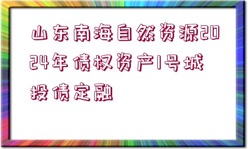 山東南海自然資源2024年債權資產(chǎn)1號城投債定融