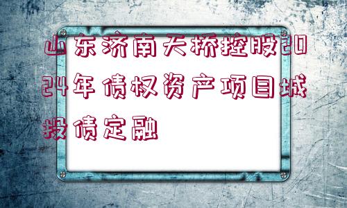 山東濟(jì)南天橋控股2024年債權(quán)資產(chǎn)項(xiàng)目城投債定融