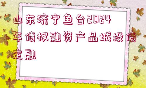 山東濟寧魚臺2024年債權(quán)融資產(chǎn)品城投債定融