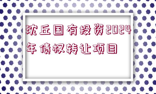 沈丘國(guó)有投資2024年債權(quán)轉(zhuǎn)讓項(xiàng)目