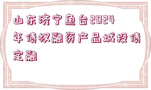 山東濟寧魚臺2024年債權(quán)融資產(chǎn)品城投債定融