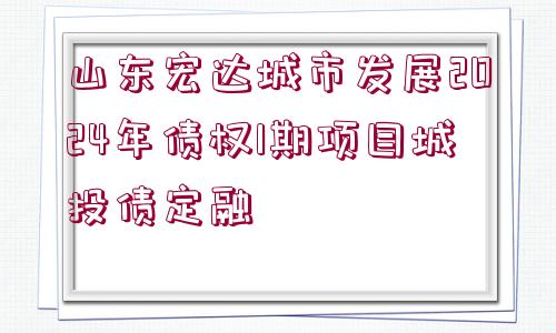 山東宏達(dá)城市發(fā)展2024年債權(quán)1期項(xiàng)目城投債定融