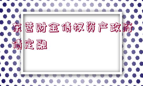 東營財金債權(quán)資產(chǎn)政府債定融