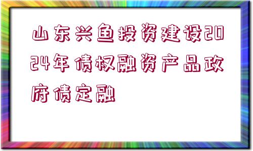 山東興魚投資建設(shè)2024年債權(quán)融資產(chǎn)品政府債定融