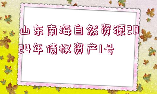 山東南海自然資源2024年債權(quán)資產(chǎn)1號