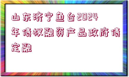 山東濟寧魚臺2024年債權(quán)融資產(chǎn)品政府債定融