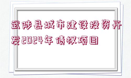 武陟縣城市建設(shè)投資開(kāi)發(fā)2024年債權(quán)項(xiàng)目