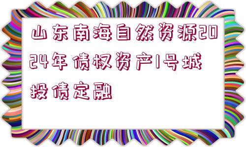 山東南海自然資源2024年債權(quán)資產(chǎn)1號(hào)城投債定融