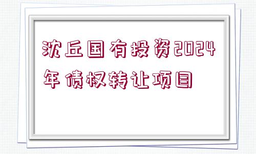 沈丘國(guó)有投資2024年債權(quán)轉(zhuǎn)讓項(xiàng)目