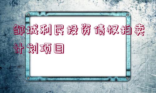 鄒城利民投資債權(quán)拍賣計劃項目