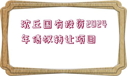 沈丘國(guó)有投資2024年債權(quán)轉(zhuǎn)讓項(xiàng)目