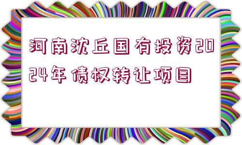 河南沈丘國(guó)有投資2024年債權(quán)轉(zhuǎn)讓項(xiàng)目