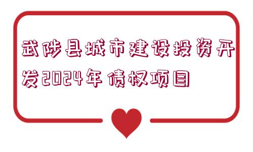 武陟縣城市建設(shè)投資開發(fā)2024年債權(quán)項目