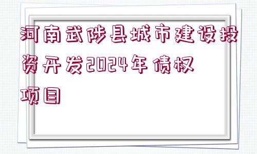 河南武陟縣城市建設投資開發(fā)2024年債權(quán)項目