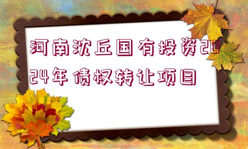 河南沈丘國(guó)有投資2024年債權(quán)轉(zhuǎn)讓項(xiàng)目