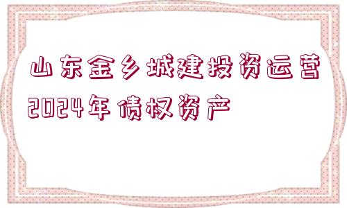 山東金鄉(xiāng)城建投資運營2024年債權(quán)資產(chǎn)