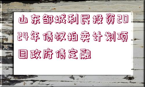 山東鄒城利民投資2024年債權(quán)拍賣計劃項目政府債定融