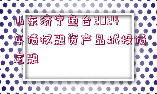 山東濟(jì)寧魚臺2024年債權(quán)融資產(chǎn)品城投債定融