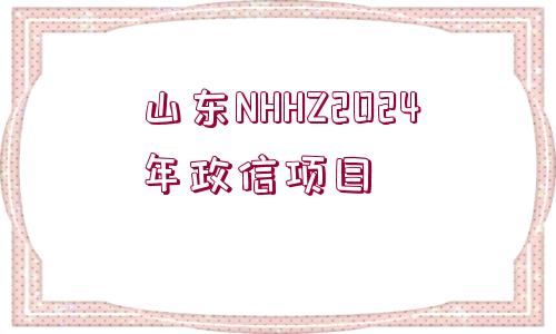 山東NHHZ2024年政信項目