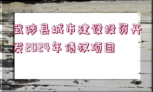 武陟縣城市建設投資開發(fā)2024年債權(quán)項目