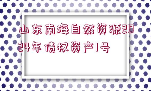 山東南海自然資源2024年債權(quán)資產(chǎn)1號