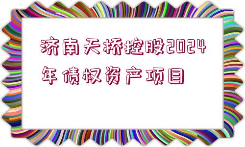 濟南天橋控股2024年債權資產項目