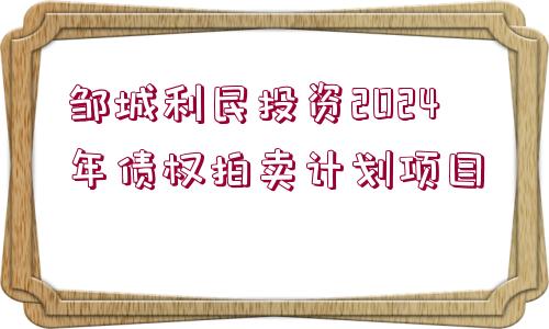 鄒城利民投資2024年債權拍賣計劃項目