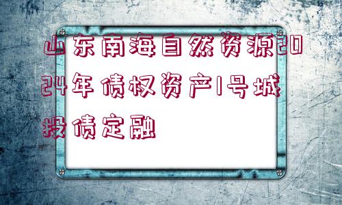 山東南海自然資源2024年債權資產1號城投債定融