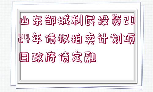 山東鄒城利民投資2024年債權(quán)拍賣計劃項目政府債定融