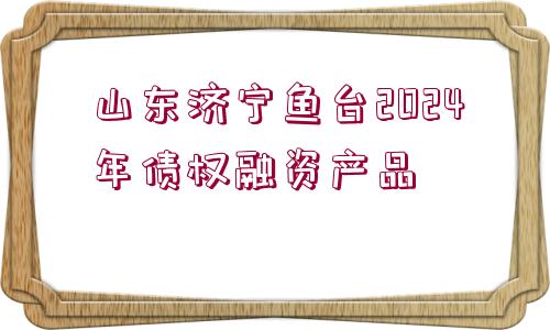 山東濟(jì)寧魚臺2024年債權(quán)融資產(chǎn)品