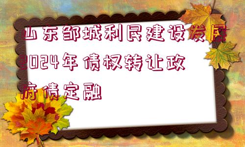 山東鄒城利民建設(shè)發(fā)展2024年債權(quán)轉(zhuǎn)讓政府債定融