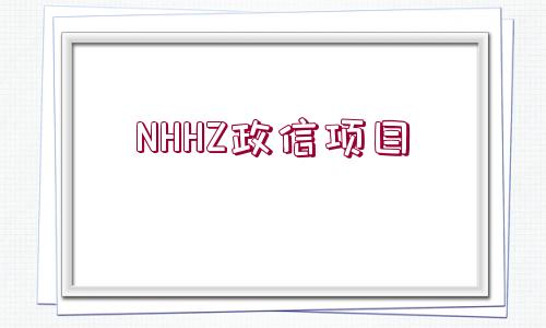 NHHZ政信項(xiàng)目