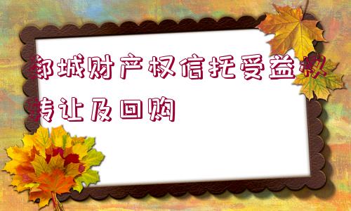 郯城財產(chǎn)權(quán)信托受益權(quán)轉(zhuǎn)讓及回購