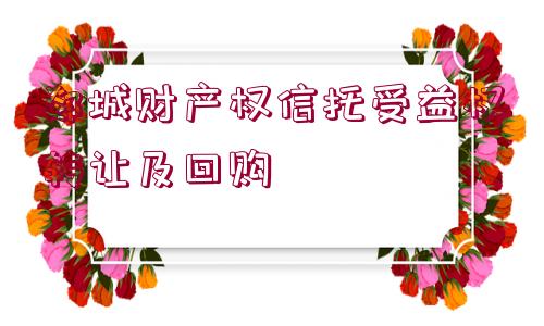 郯城財(cái)產(chǎn)權(quán)信托受益權(quán)轉(zhuǎn)讓及回購