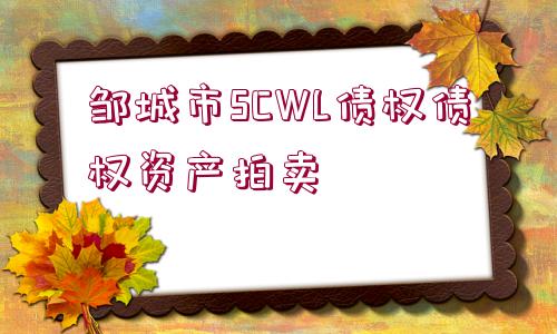 鄒城市SCWL債權債權資產拍賣