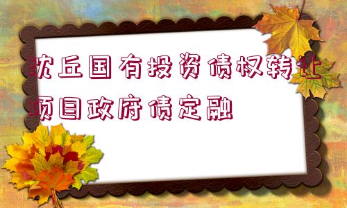 沈丘國(guó)有投資債權(quán)轉(zhuǎn)讓項(xiàng)目政府債定融