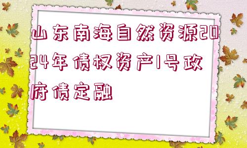 山東南海自然資源2024年債權資產1號政府債定融